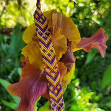 Pattern #115916 Photo