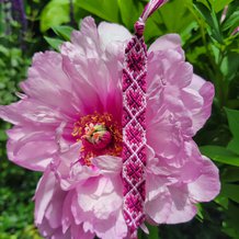 Pattern #155402 Photo
