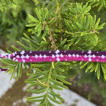 Pattern #155700 Photo