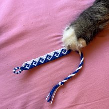 Pattern #90057 Photo
