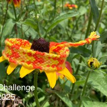 Pattern #23386 Photo