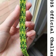 Pattern #23386 Photo