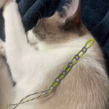 Pattern #172759 Photo