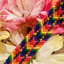 Pattern #4048 Photo