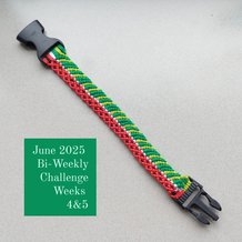 Pattern #26509 Photo