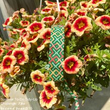 Pattern #39181 Photo
