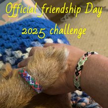 Pattern #24529 Photo