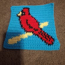 Pattern #184397 Photo