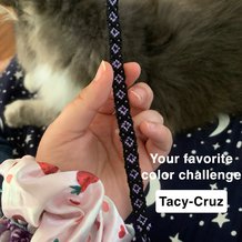 Pattern #19724 Photo