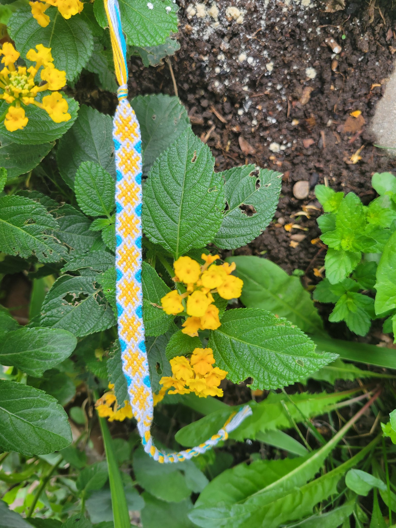 Normal pattern #136579 | BraceletBook