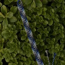 Pattern #128516 Photo