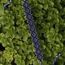 Pattern #34612 Photo