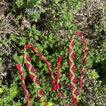 Pattern #49767 Photo