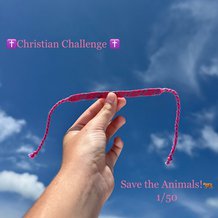 Pattern #192397 Photo