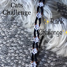 Pattern #178882 Photo
