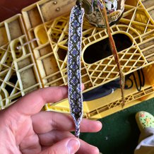 Pattern #178273 Photo