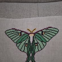 Pattern #178938 Photo