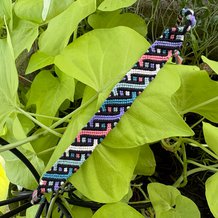 Pattern #153684 Photo