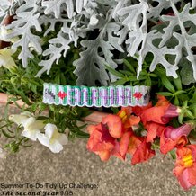 Pattern #191342 Photo