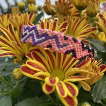 Pattern #69897 Photo