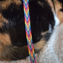 Pattern #6571 Photo