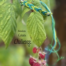 Pattern #77905 Photo
