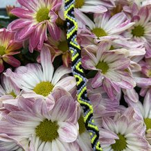 Pattern #179518 Photo