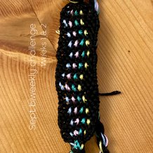Pattern #193409 Photo