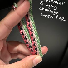 Pattern #193312 Photo