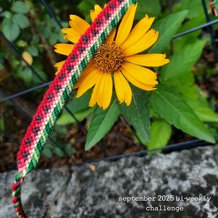 Pattern #193312 Photo