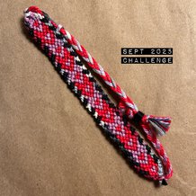 Pattern #195672 Photo