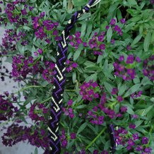 Pattern #103768 Photo