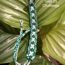 Pattern #64480 Photo