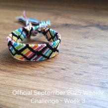 Pattern #22719 Photo