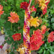 Pattern #127236 Photo