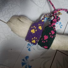 Pattern #9779 Photo