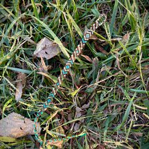 Pattern #180737 Photo