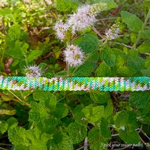 Pattern #29912 Photo