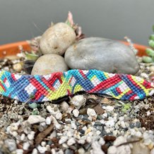 Pattern #191843 Photo