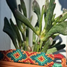 Pattern #160477 Photo