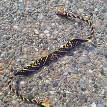 Pattern #186286 Photo