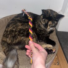 Pattern #190851 Photo