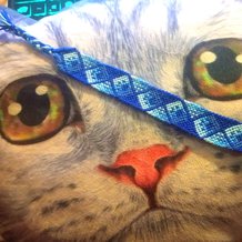 Pattern #51791 Photo