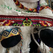 Pattern #162587 Photo