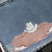 Pattern #89555 Photo