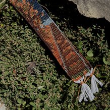 Pattern #136812 Photo