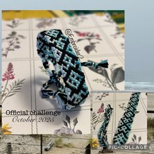 Pattern #104193 Photo