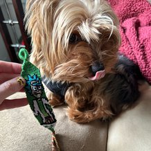 Pattern #151162 Photo