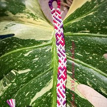 Pattern #199838 Photo