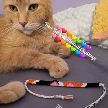 Pattern #116657 Photo